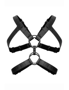 Harnais de bondage Rocco - Bedroom Fantasies 2